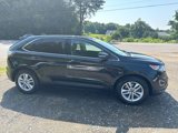 Used 2015 Ford Edge SEL image 5