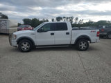 Used 2008 Ford F150 FX4 image 5