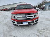 Used 2019 Ford F150 XLT w/ Equipment Group 302A Luxury image 3