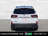 New 2025 Ford Escape ST-Line w/ Tech Pack #1 image 6