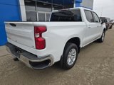 Used 2019 Chevrolet Silverado 1500 LT w/ All-Star Edition image 4