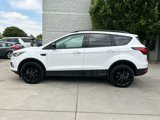 Used 2019 Ford Escape SE image 3