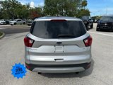 Used 2019 Ford Escape SE image 4