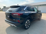 Used 2023 Ford Escape Platinum image 6