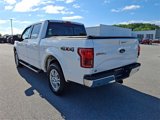 Used 2015 Ford F150 Lariat w/ Equipment Group 501A Mid image 4