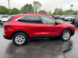 Used 2023 Ford Escape Active w/ Tech Pack #2 image 6