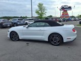 Used 2022 Ford Mustang Premium image 6