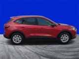 New 2025 Ford Escape Active w/ Tech Pack #1 image 2