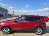 Used 2017 Ford Escape SE w/ SE Leather Comfort Package image 2