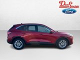 Used 2021 Ford Escape SE image 5