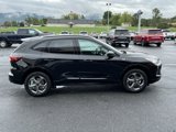 New 2024 Ford Escape ST-Line w/ Tech Pack #1 image 5
