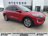 Used 2022 Ford Escape SEL image 2