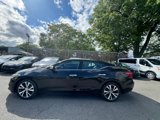 Used 2016 Nissan Maxima Platinum image 6