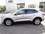 Certified 2022 Ford Escape SE w/ Cold Weather Package image 2