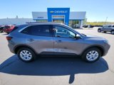 Used 2024 Ford Escape Active w/ Tech Pack #1 image 6