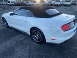 Used 2017 Ford Mustang Premium image 5