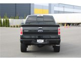 Used 2013 Ford F150 Limited image 3