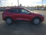 New 2025 Ford Escape Active w/ Cold Weather Package image 6