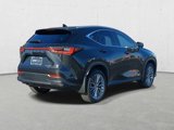 Certified 2024 Lexus NX 300h AWD w/ Vision Package image 5