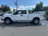 Used 2014 Ford F150 XLT w/ Equipment Group 302A Luxury image 2