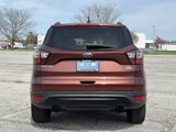 Used 2018 Ford Escape SE w/ SE Sport Appearance Package image 6