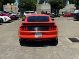 Used 2015 Ford Mustang GT Premium w/ GT Performance Package image 4