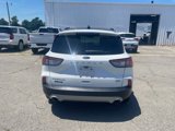Used 2020 Ford Escape Titanium image 4