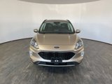 Used 2021 Ford Escape SEL image 2