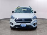 Used 2019 Ford Escape SE image 2