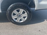 Used 2019 Ford F150 XLT w/ Equipment Group 301A Mid image 6