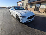 Used 2018 Ford Mustang Premium w/ Equipment Group 201A image 2