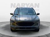 Used 2020 Ford Escape Titanium image 2