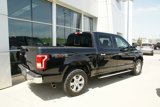 Used 2016 Ford F150 XLT w/ Equipment Group 302A Luxury image 3