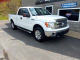 Used 2014 Ford F150 XLT w/ Equipment Group 302A Luxury image 2