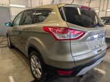 Used 2013 Ford Escape SEL image 5