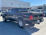 Used 2008 Dodge Dakota TRX w/ Trailer Tow Group image 5