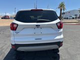 Used 2019 Ford Escape Titanium image 4