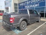 Used 2019 Ford F150 XLT w/ Equipment Group 302A Luxury image 5