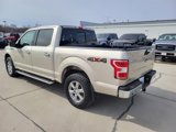 Used 2018 Ford F150 XLT w/ Equipment Group 302A Luxury image 6