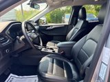 Used 2024 Ford Escape Platinum image 5