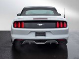 Used 2015 Ford Mustang Premium image 4