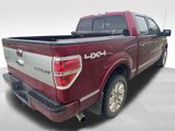 Used 2013 Ford F150 Platinum image 4