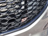 Used 2019 Ford Edge ST w/ Equipment Group 401A image 3