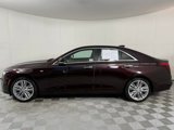 Used 2020 Cadillac CT4 Premium Luxury w/ Driver Assist Package image 4