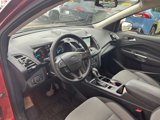 Used 2019 Ford Escape SE image 3