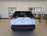 Used 2023 Toyota RAV4 LE image 4