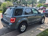 Used 2010 Ford Escape XLT w/ 204A Rapid Spec Order Code image 5