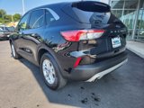 Used 2021 Ford Escape SE w/ Convenience Package image 4