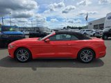 Certified 2016 Ford Mustang Premium w/ Equipment Group 201A image 2