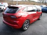 Used 2023 Ford Escape ST-Line w/ Tech Pack #1 image 3